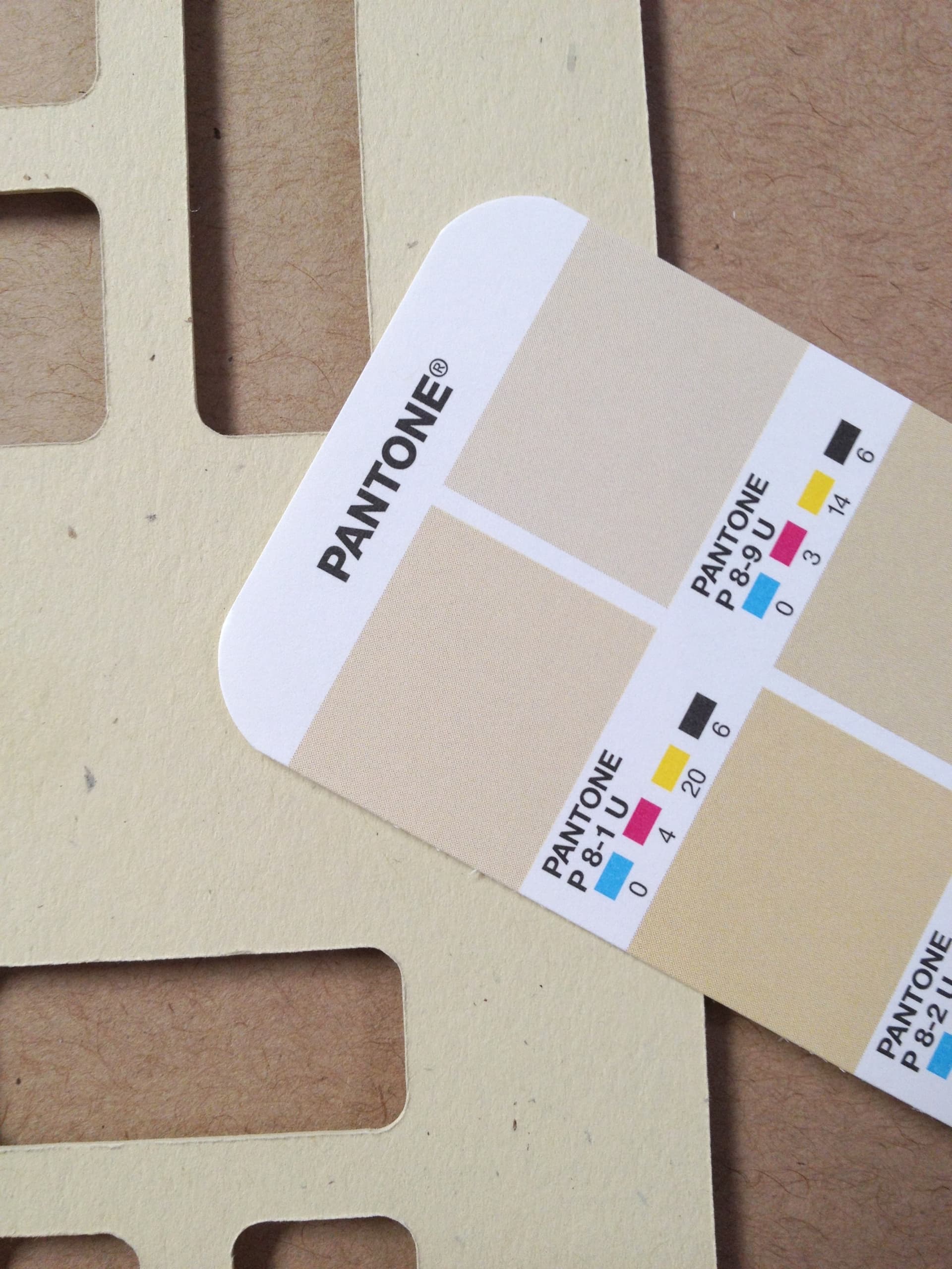 Pantone color samples against Mosaic packaging materials